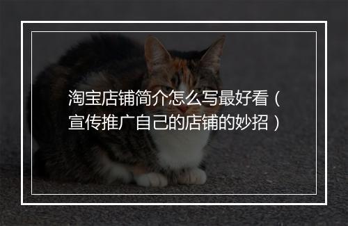淘宝店铺简介怎么写最好看（宣传推广自己的店铺的妙招）