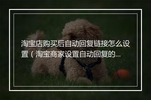 淘宝店购买后自动回复链接怎么设置（淘宝商家设置自动回复的方法）