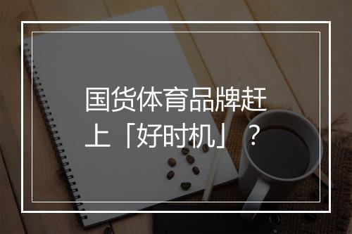 国货体育品牌赶上「好时机」？