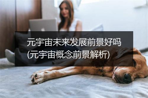 元宇宙未来发展前景好吗(元宇宙概念前景解析)