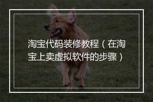 淘宝代码装修教程（在淘宝上卖虚拟软件的步骤）
