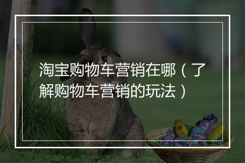 淘宝购物车营销在哪（了解购物车营销的玩法）