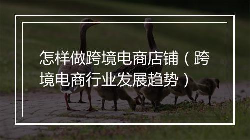 怎样做跨境电商店铺（跨境电商行业发展趋势）