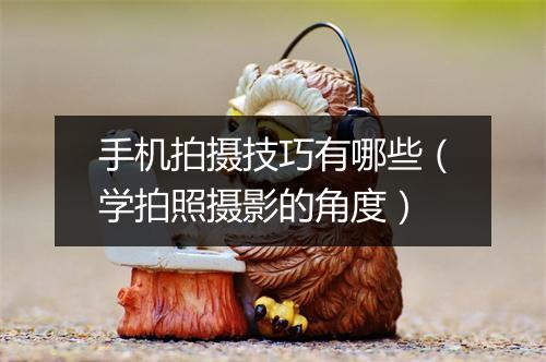 手机拍摄技巧有哪些（学拍照摄影的角度）