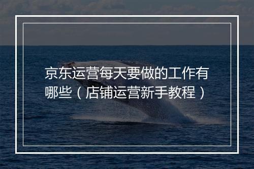 京东运营每天要做的工作有哪些（店铺运营新手教程）
