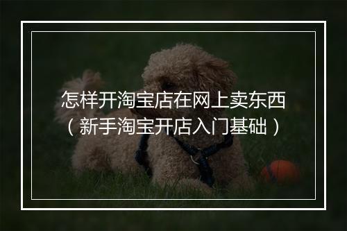 怎样开淘宝店在网上卖东西（新手淘宝开店入门基础）