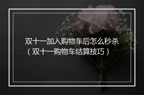 双十一加入购物车后怎么秒杀（双十一购物车结算技巧）