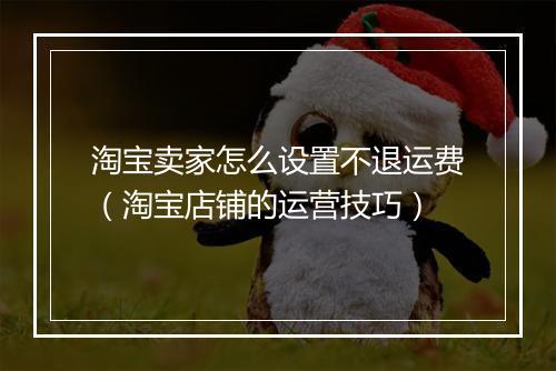 淘宝卖家怎么设置不退运费（淘宝店铺的运营技巧）