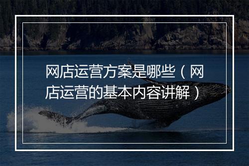 网店运营方案是哪些（网店运营的基本内容讲解）