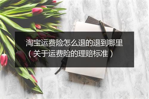 淘宝运费险怎么退的退到哪里（关于运费险的理赔标准）