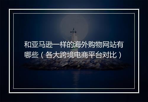 和亚马逊一样的海外购物网站有哪些（各大跨境电商平台对比）