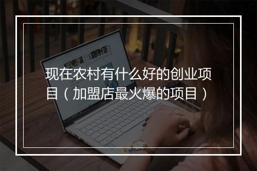 现在农村有什么好的创业项目（加盟店最火爆的项目）
