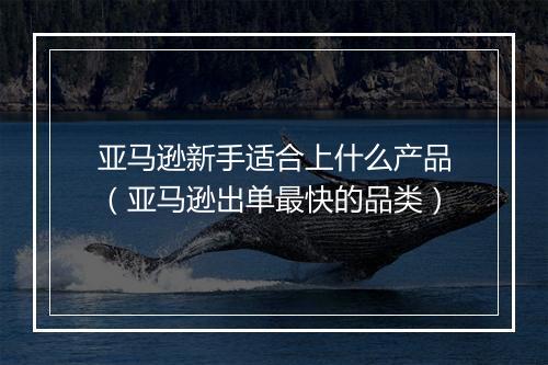 亚马逊新手适合上什么产品（亚马逊出单最快的品类）