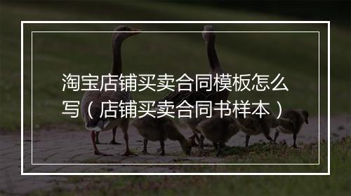 淘宝店铺买卖合同模板怎么写（店铺买卖合同书样本）