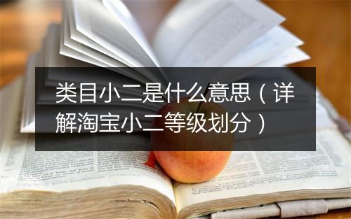 类目小二是什么意思（详解淘宝小二等级划分）