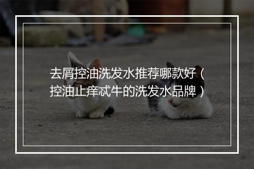 去屑控油洗发水推荐哪款好（控油止痒忒牛的洗发水品牌）