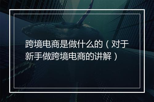 跨境电商是做什么的（对于新手做跨境电商的讲解）