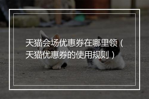 天猫会场优惠券在哪里领（天猫优惠券的使用规则）