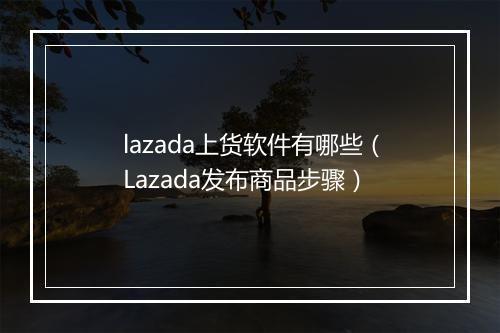 lazada上货软件有哪些（Lazada发布商品步骤）