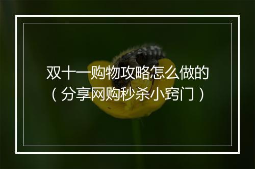 双十一购物攻略怎么做的（分享网购秒杀小窍门）