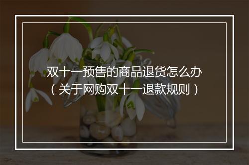 双十一预售的商品退货怎么办（关于网购双十一退款规则）