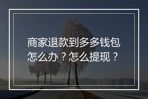 商家退款到多多钱包怎么办？怎么提现？