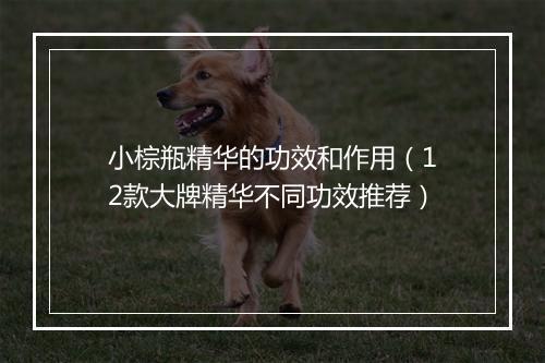 小棕瓶精华的功效和作用（12款大牌精华不同功效推荐）