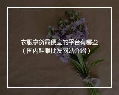 衣服拿货最便宜的平台有哪些（国内鞋服批发网站介绍）