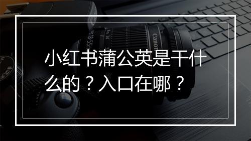 小红书蒲公英是干什么的？入口在哪？