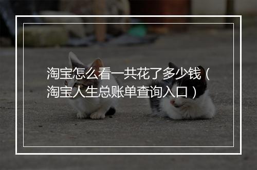 淘宝怎么看一共花了多少钱（淘宝人生总账单查询入口）