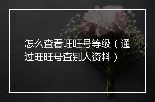 怎么查看旺旺号等级（通过旺旺号查别人资料）