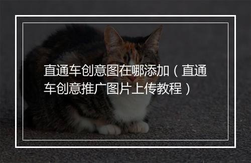 直通车创意图在哪添加（直通车创意推广图片上传教程）