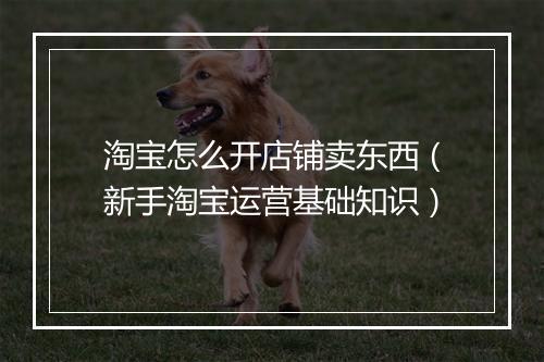 淘宝怎么开店铺卖东西（新手淘宝运营基础知识）