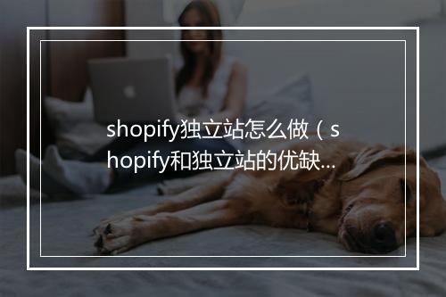 shopify独立站怎么做（shopify和独立站的优缺点）