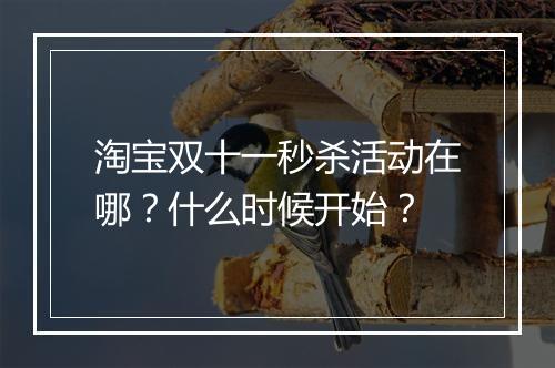 淘宝双十一秒杀活动在哪？什么时候开始？