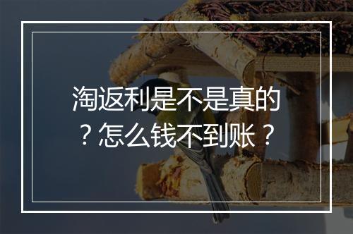 淘返利是不是真的？怎么钱不到账？