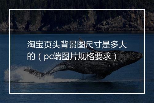 淘宝页头背景图尺寸是多大的（pc端图片规格要求）