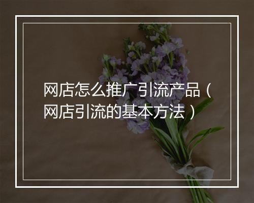 网店怎么推广引流产品（网店引流的基本方法）