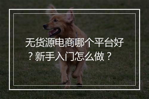 无货源电商哪个平台好？新手入门怎么做？