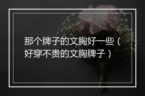 那个牌子的文胸好一些（好穿不贵的文胸牌子）