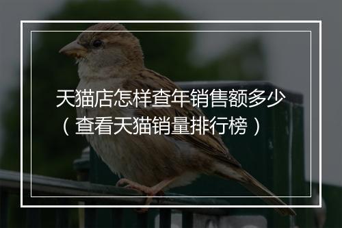 天猫店怎样查年销售额多少（查看天猫销量排行榜）