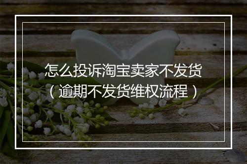 怎么投诉淘宝卖家不发货（逾期不发货维权流程）