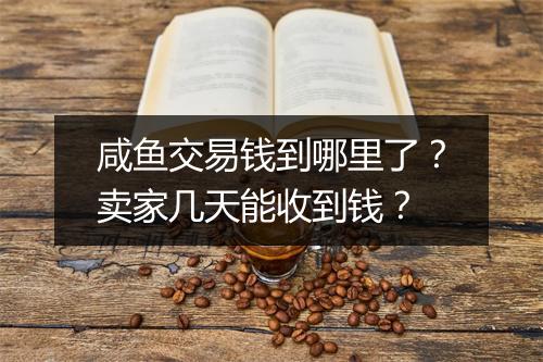 咸鱼交易钱到哪里了？卖家几天能收到钱？
