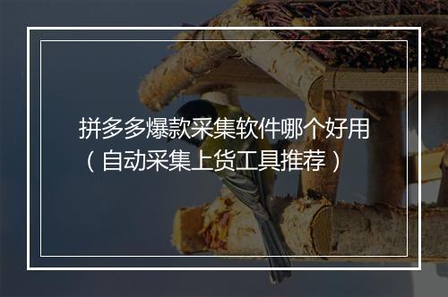 拼多多爆款采集软件哪个好用（自动采集上货工具推荐）