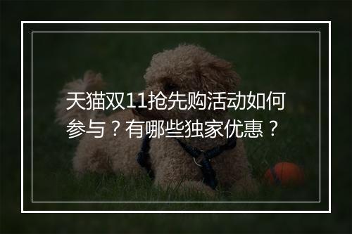 天猫双11抢先购活动如何参与？有哪些独家优惠？