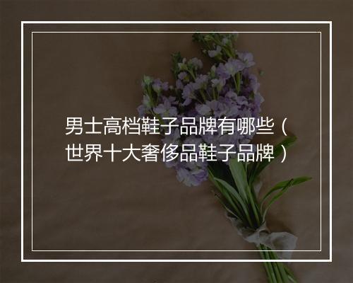 男士高档鞋子品牌有哪些（世界十大奢侈品鞋子品牌）