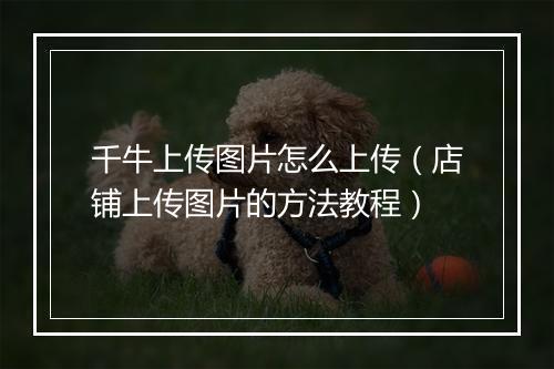 千牛上传图片怎么上传（店铺上传图片的方法教程）