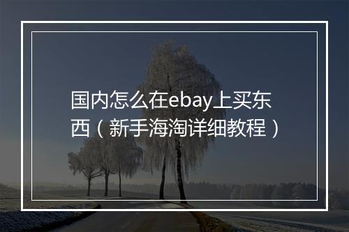 国内怎么在ebay上买东西（新手海淘详细教程）