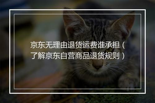 京东无理由退货运费谁承担（了解京东自营商品退货规则）