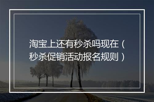 淘宝上还有秒杀吗现在（秒杀促销活动报名规则）